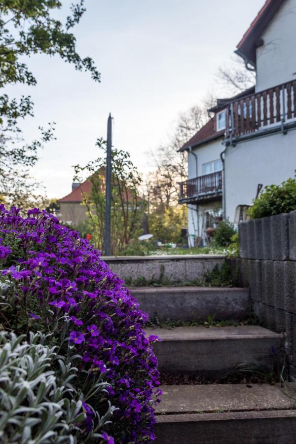 Gaestehaus Bechtloff Meissen Ngoại thất bức ảnh